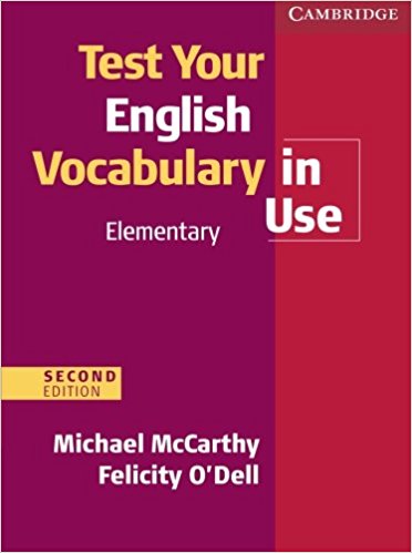 vocabulary in use